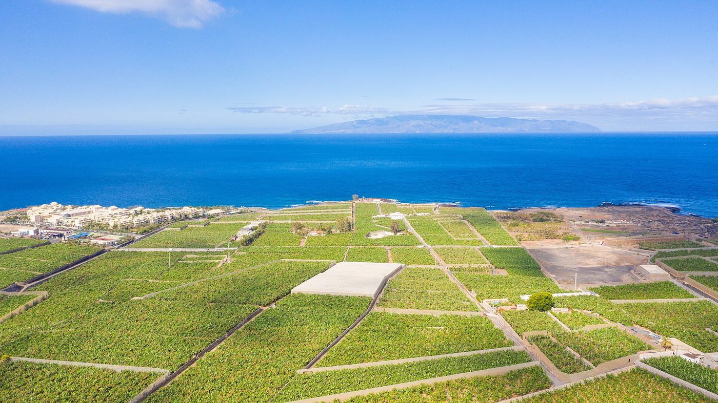 Banana plantations above the coast near Alcalá, with La Gomera on the horizon