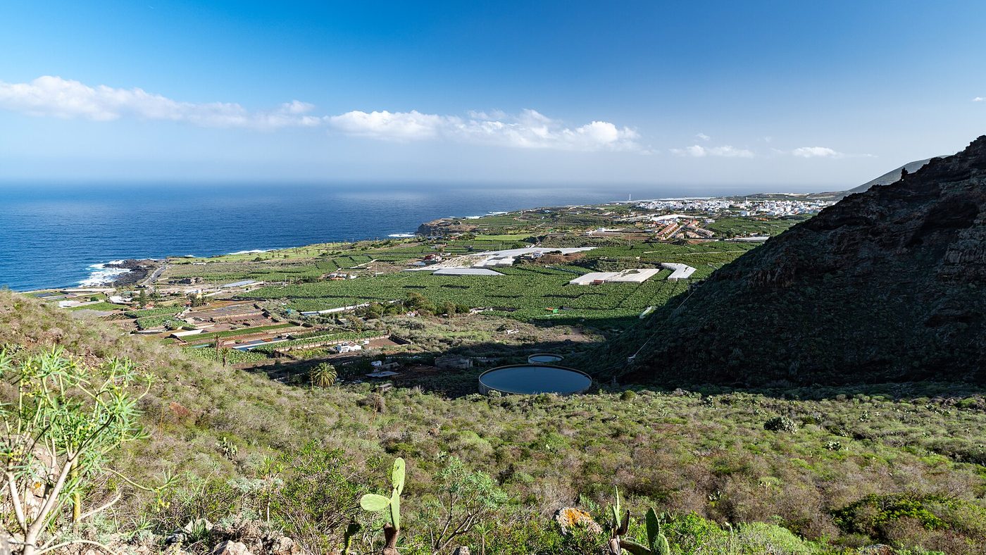 Banana plantations near Buenavista del Norte