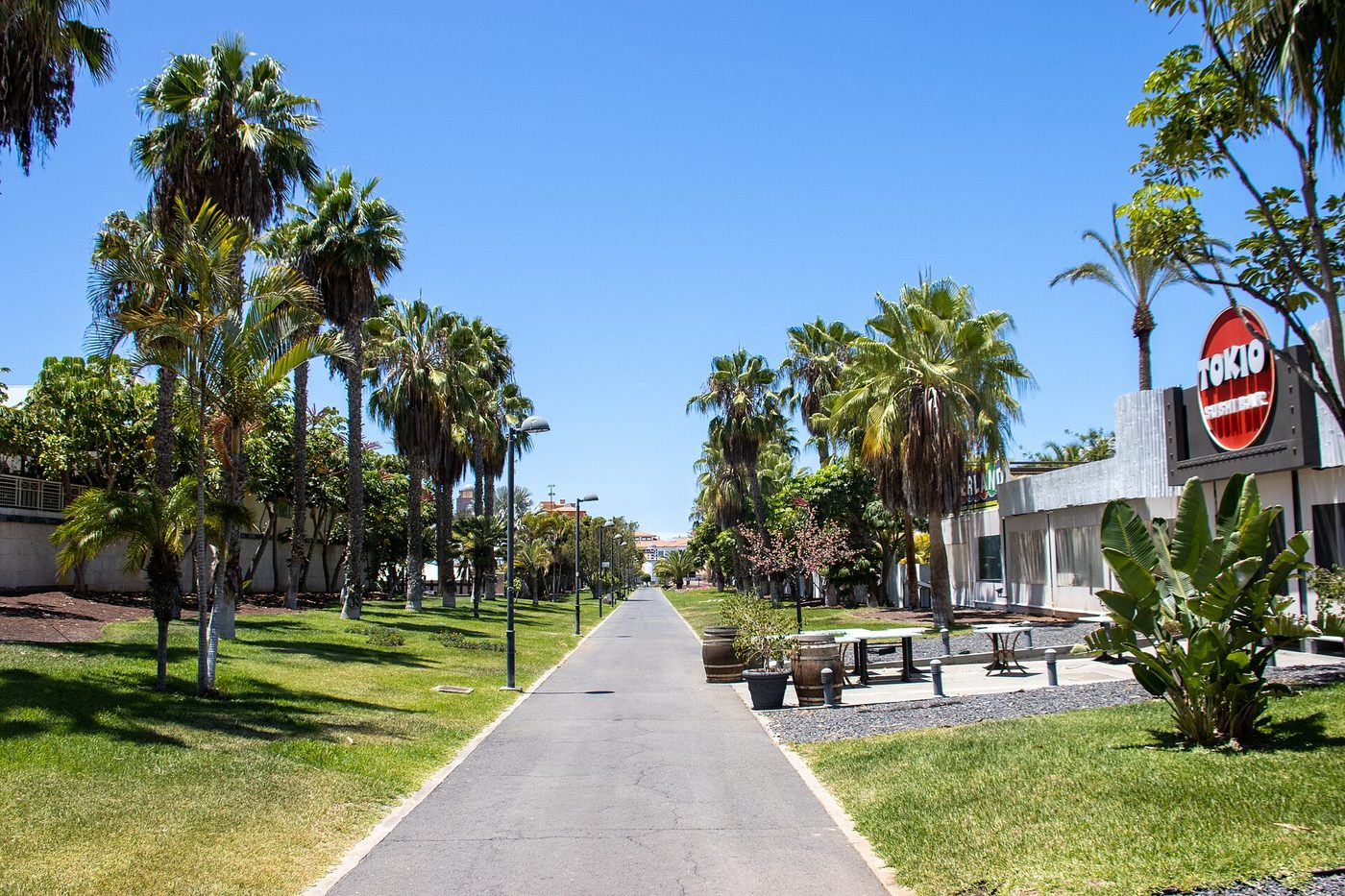 The palm-lined walks planted by the developers