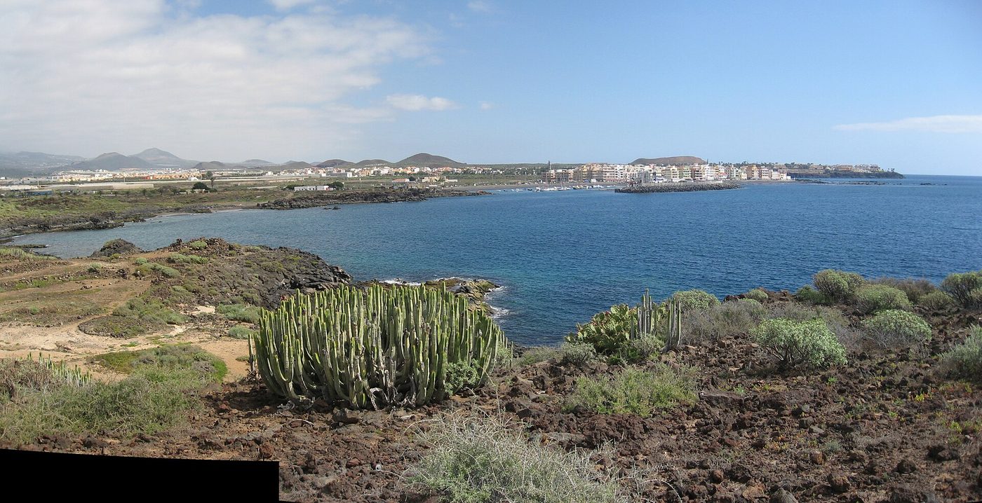 The lava coast at Las Galletas, with cardón spurge in the foreground